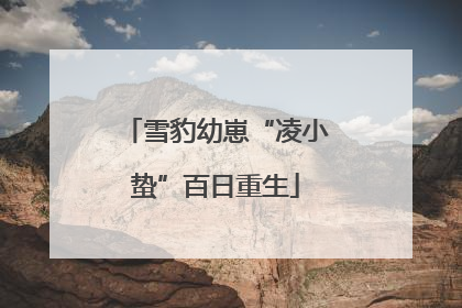 雪豹幼崽“凌小蛰”百日重生
