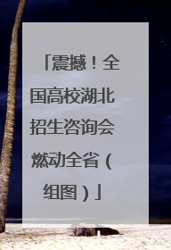震撼！全国高校湖北招生咨询会燃动全省（组图）