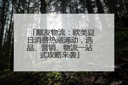 顺友物流：欧美夏日消费热潮涌动，选品、营销、物流一站式攻略来袭