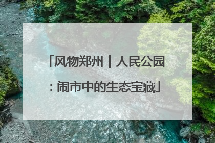 风物郑州｜人民公园：闹市中的生态宝藏
