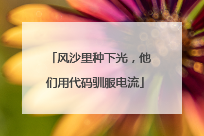 风沙里种下光，他们用代码驯服电流