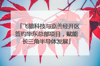 飞骧科技与嘉善经开区签约华东总部项目，赋能长三角半导体发展