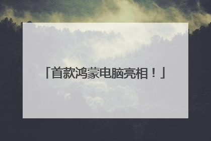 首款鸿蒙电脑亮相！