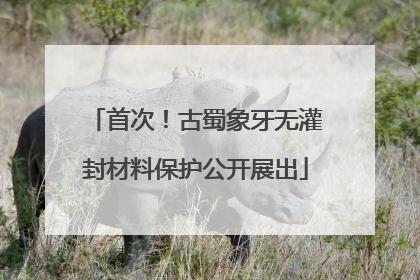 首次！古蜀象牙无灌封材料保护公开展出
