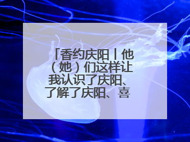 香约庆阳丨他（她）们这样让我认识了庆阳、了解了庆阳、喜欢上了庆阳