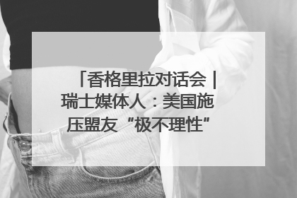 香格里拉对话会｜瑞士媒体人：美国施压盟友“极不理性” 欧洲国家无意与中国“脱钩断链”