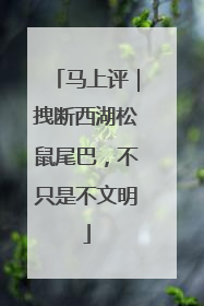 马上评｜拽断西湖松鼠尾巴，不只是不文明