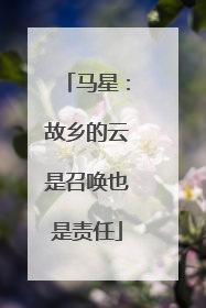 马星：故乡的云是召唤也是责任