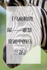 马蔺和鸢尾——谁是童谣中的马兰花
