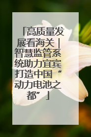 高质量发展看海关｜智慧监管系统助力宜宾打造中国“动力电池之都”