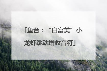 鱼台：“白富美”小龙虾跳动增收音符