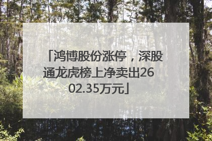鸿博股份涨停，深股通龙虎榜上净卖出2602.35万元