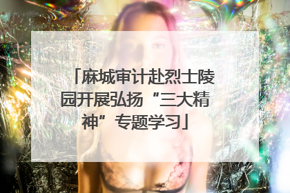 麻城审计赴烈士陵园开展弘扬“三大精神”专题学习