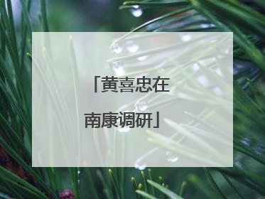 黄喜忠在南康调研