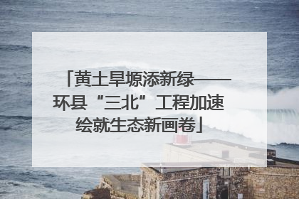 黄土旱塬添新绿——环县“三北”工程加速绘就生态新画卷