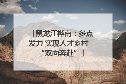 黑龙江桦南：多点发力 实现人才乡村“双向奔赴”