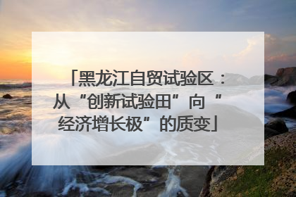 黑龙江自贸试验区：从“创新试验田”向“经济增长极”的质变