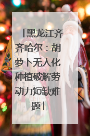 黑龙江齐齐哈尔：胡萝卜无人化种植破解劳动力短缺难题