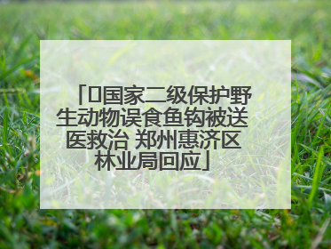 ﻿国家二级保护野生动物误食鱼钩被送医救治 郑州惠济区林业局回应