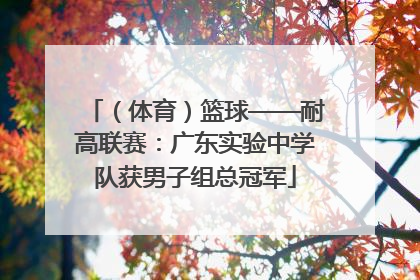 （体育）篮球——耐高联赛：广东实验中学队获男子组总冠军