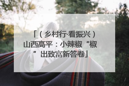 （乡村行·看振兴）山西高平：小辣椒“椒”出致富新答卷