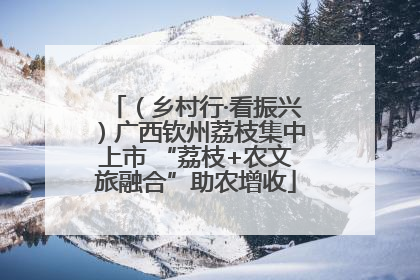 （乡村行·看振兴）广西钦州荔枝集中上市 “荔枝+农文旅融合”助农增收