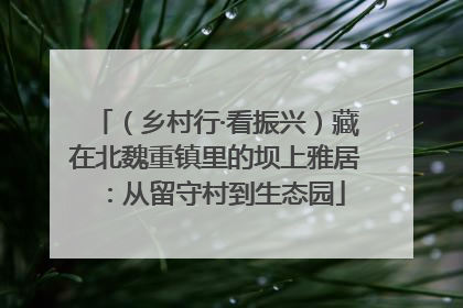（乡村行·看振兴）藏在北魏重镇里的坝上雅居：从留守村到生态园