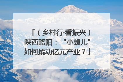 （乡村行·看振兴）陕西略阳：“小瓢儿”如何撬动亿元产业？