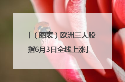 （图表）欧洲三大股指6月3日全线上涨