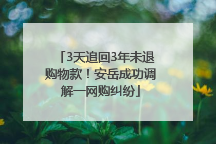 3天追回3年未退购物款！安岳成功调解一网购纠纷