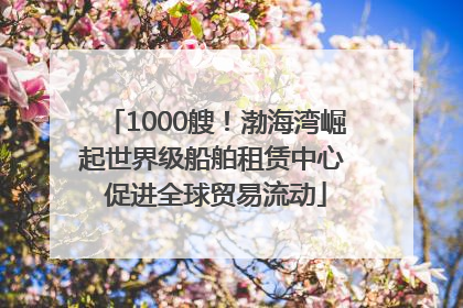 1000艘！渤海湾崛起世界级船舶租赁中心 促进全球贸易流动