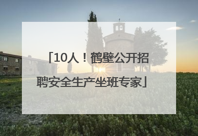 10人！鹤壁公开招聘安全生产坐班专家