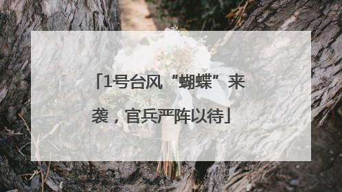 1号台风“蝴蝶”来袭，官兵严阵以待