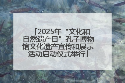 2025年“文化和自然遗产日”孔子博物馆文化遗产宣传和展示活动启动仪式举行