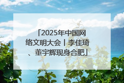 2025年中国网络文明大会丨李佳琦、董宇辉现身合肥