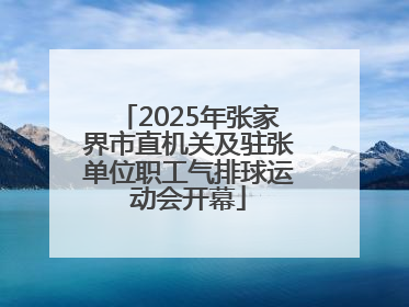2025年张家界市直机关及驻张单位职工气排球运动会开幕
