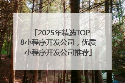 2025年精选TOP8小程序开发公司，优质小程序开发公司推荐