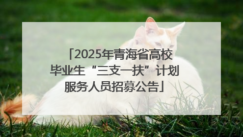 2025年青海省高校毕业生“三支一扶”计划服务人员招募公告