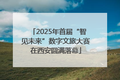 2025年首届“智见未来”数字文旅大赛在西安圆满落幕