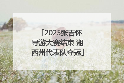 2025张吉怀导游大赛结束 湘西州代表队夺冠