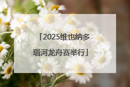 2025维也纳多瑙河龙舟赛举行