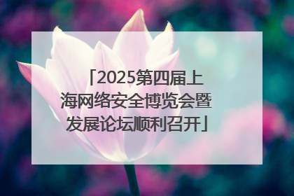 2025第四届上海网络安全博览会暨发展论坛顺利召开
