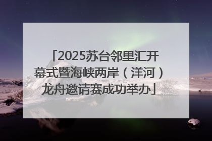 2025苏台邻里汇开幕式暨海峡两岸（洋河）龙舟邀请赛成功举办