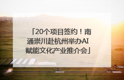 20个项目签约！南通崇川赴杭州举办AI赋能文化产业推介会