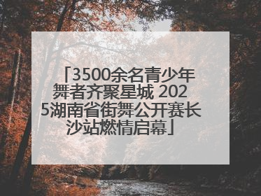 3500余名青少年舞者齐聚星城 2025湖南省街舞公开赛长沙站燃情启幕
