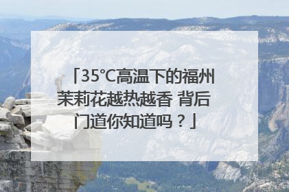 35℃高温下的福州茉莉花越热越香 背后门道你知道吗？