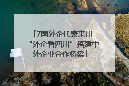 7国外企代表来川 “外企看四川”搭建中外企业合作桥梁