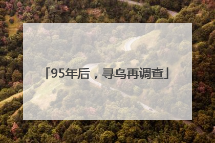 95年后，寻乌再调查
