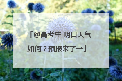 @高考生 明日天气如何？预报来了→