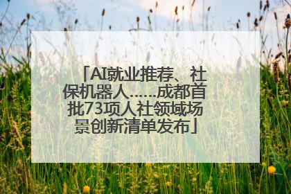 AI就业推荐、社保机器人……成都首批73项人社领域场景创新清单发布